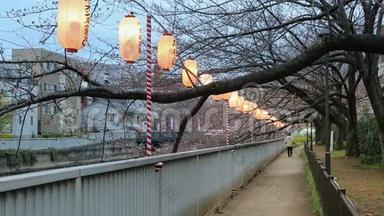 日本东京走道<strong>樱花节</strong>彩灯。